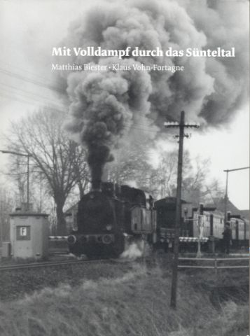 Suentetal